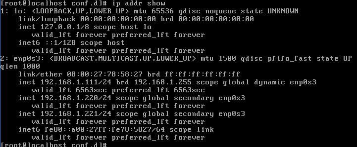 Apache2.4基于ip的虚拟主机