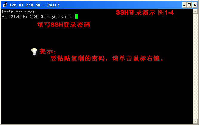 putty设置-4
