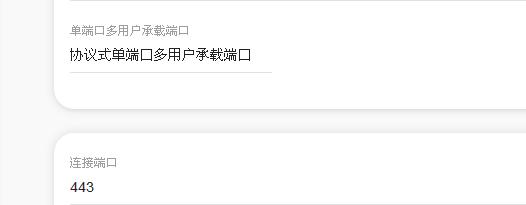 单端口多用户协议式承载